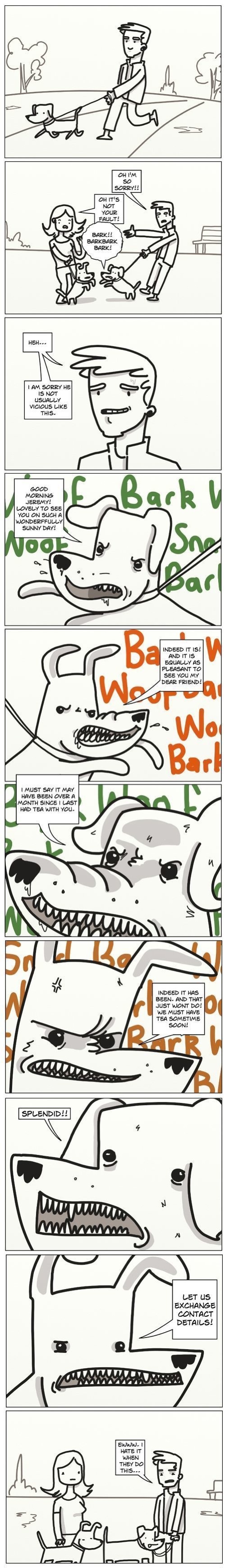 What dogs really say
