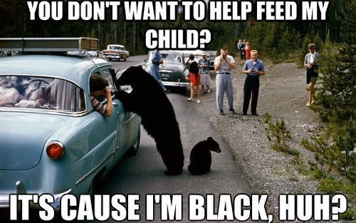 I cant "bear" this situation