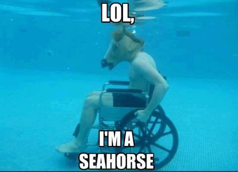 LOL I'm a seahorse