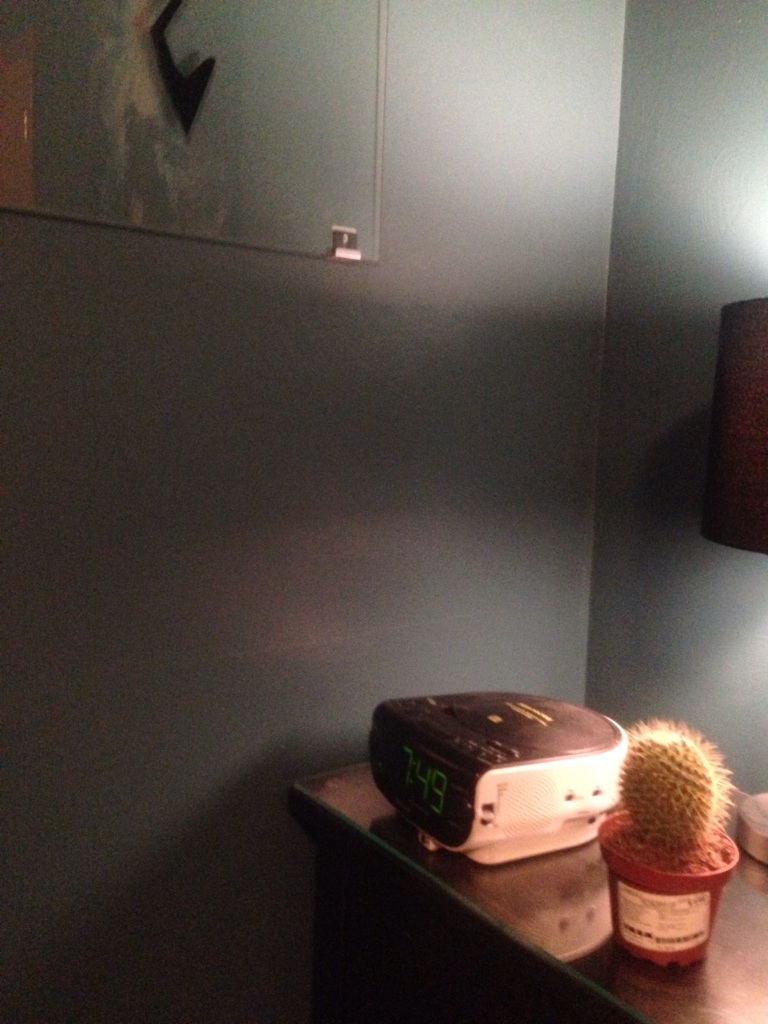 TIL where not to put a cactus...