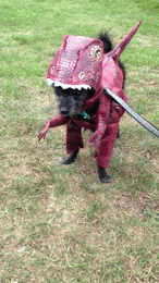 T-Rex booty