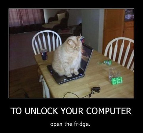 me as a cat