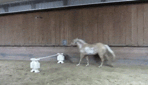 Playing sports with your much more athletic friends