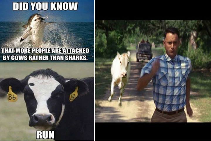 Fear the cows people.