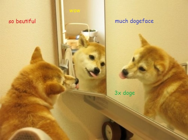 much pose, so dogeface!