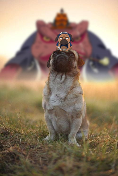I saw it and I just had to