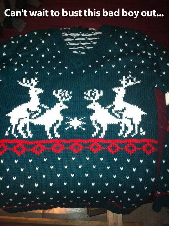 Favorite Christmas Sweater.