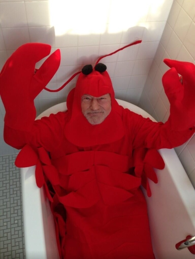 Patrick Stewart just posted this to Twitter. Happy Halloween!