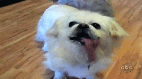 Miley, is that you?