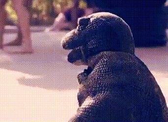 When I silently fart and then ask if anyone smells popcorn