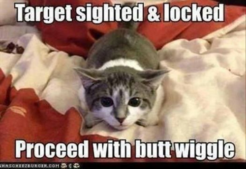 butt wiggle indeed