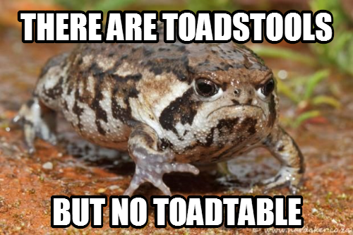 Thanks for the first half though, nature...