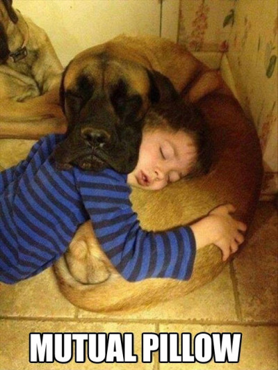 Mutual Pillow