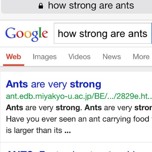 thanks google