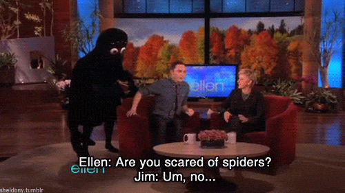 Jim Parsons said he isn't afraid of spiders.