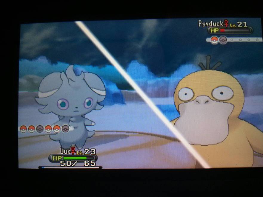 This staring competition could go on for a while