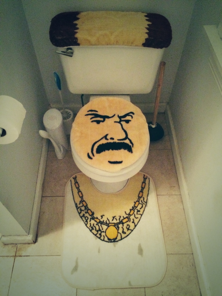 So this is our house's new toilet seat set...