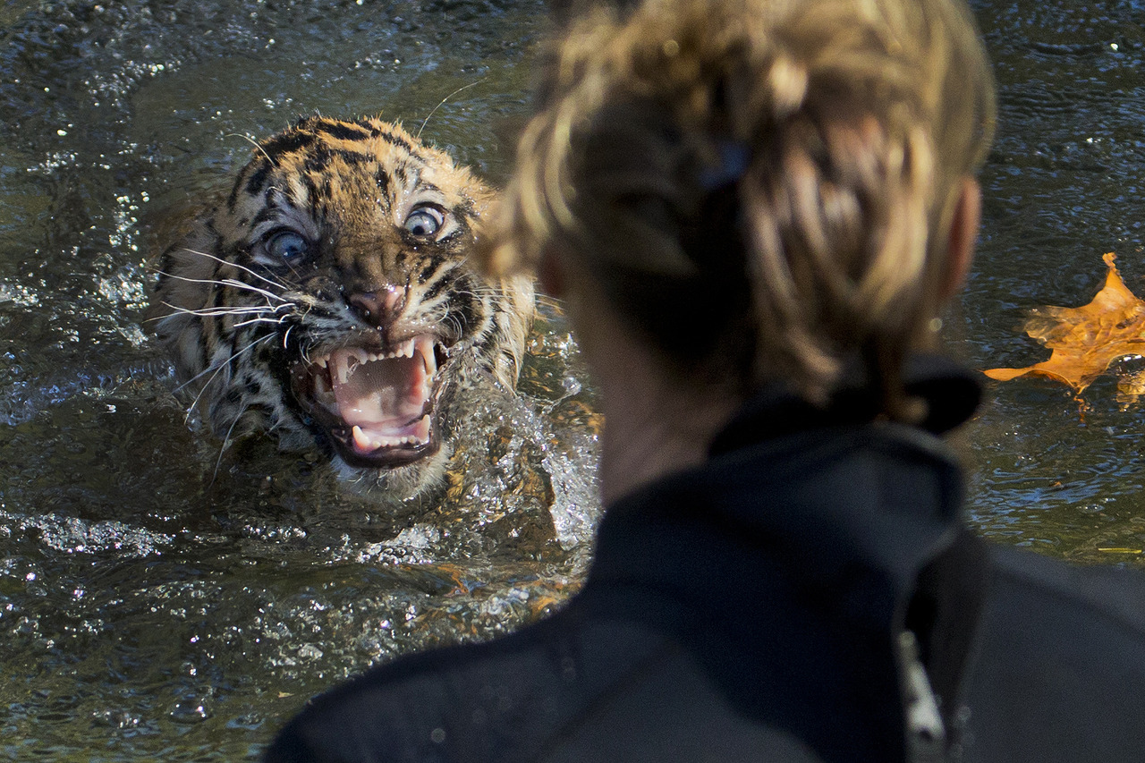 Mfw i jump into ice cold water