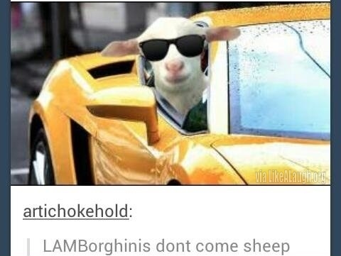 That was a baaaaaaaaaad joke