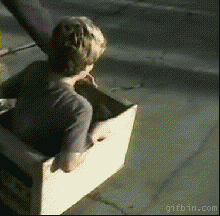 A box, a skateboard and a hill. What could possibly go wrong?
