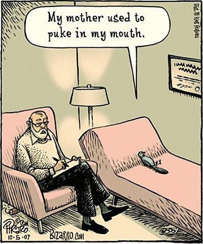 Bird problems