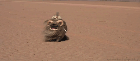 I just found the other gif of that pug... Hell yeah