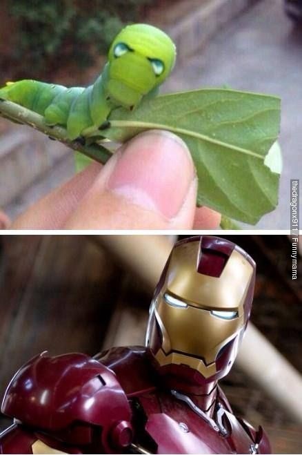 That would do a fine IronButerfree