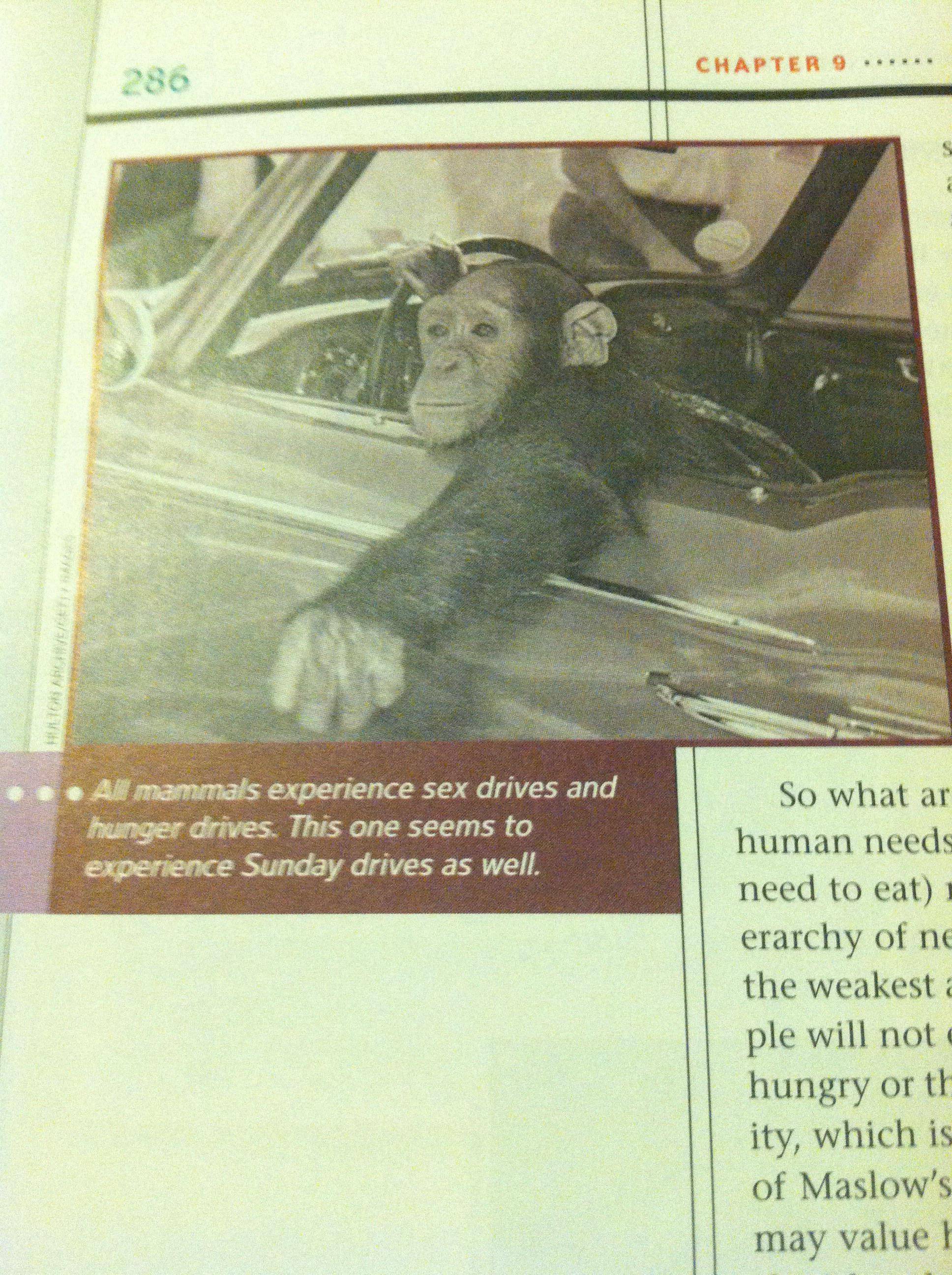 My psych book wins at life