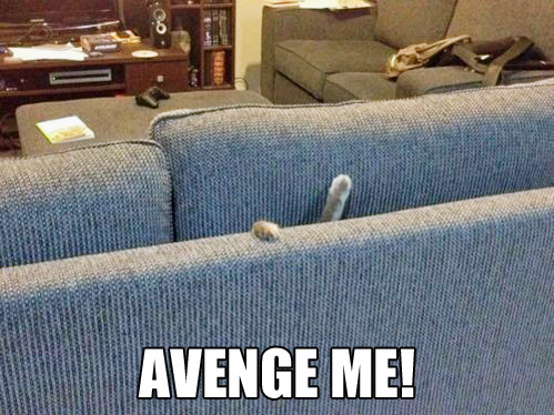 I will!