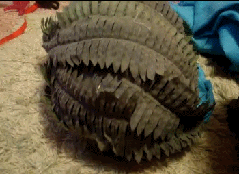 I iz disguized as bushz