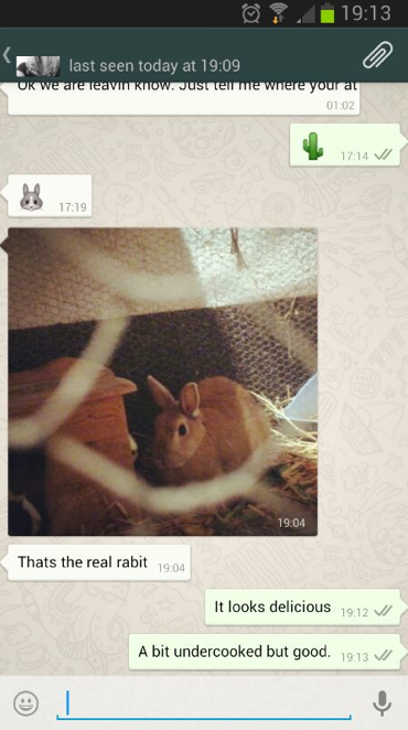 My friend's vegetarian and has a rabbit.