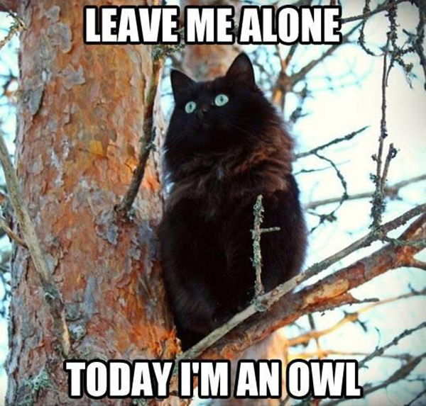 Just for one day.