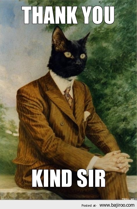 When I see my cat nearly vomiting but he dosen't
