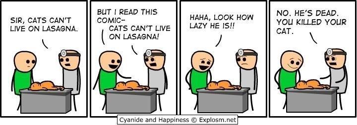 Cats can't live on lasagna