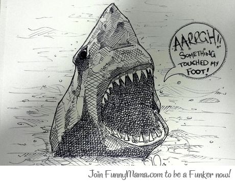 Things sharks never say...