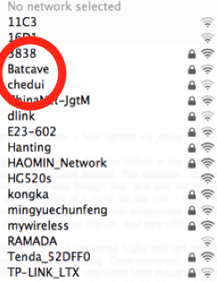 My neighbor is the Batman!