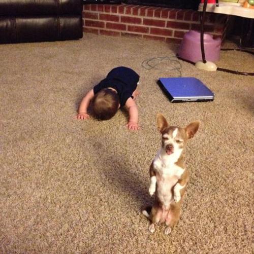 This is my favorite picture b/c what the f*ck is going on XD