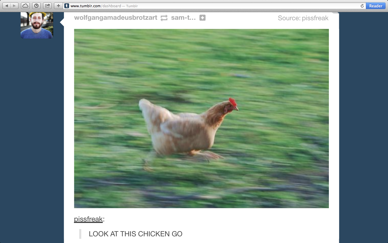 Go Go Chicken!