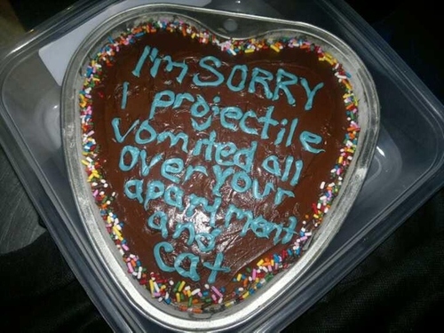 And your cat...