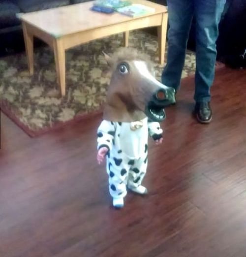 FEAR THE ALMIGHTY COW-HORSE!!