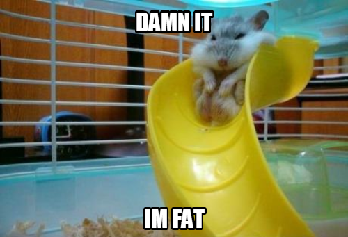 When im revisiting my youth