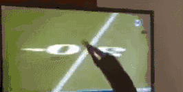 Cat goes for the interception