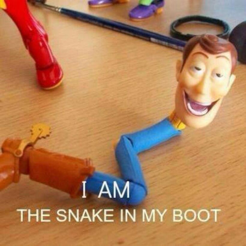What a twist!