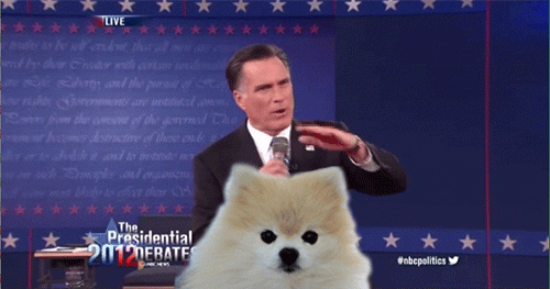 He lost because of the cat people.
