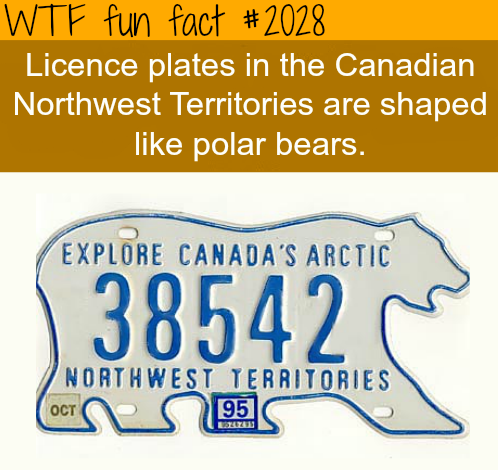 Meanwhile in Northwest Canada