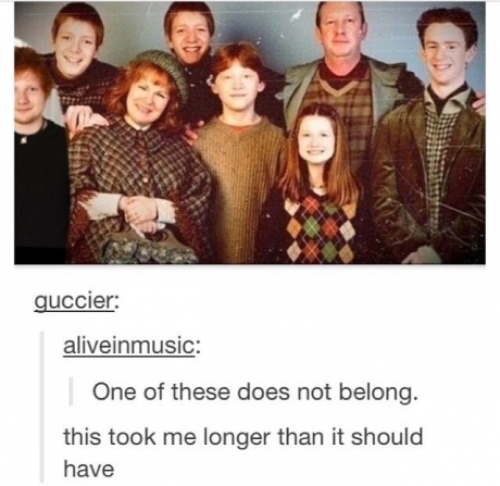 Weasley Family picture.
