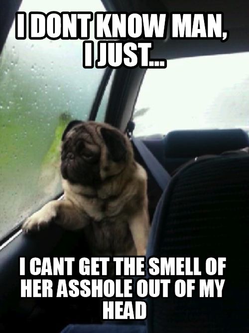 That smell