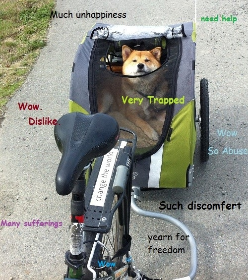 wow such ride