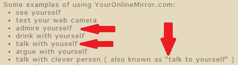 usage of an online mirror