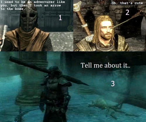 Skyrim Adventurers